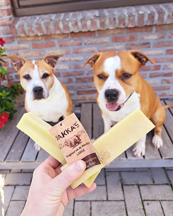 Kundenfoto: zwei Hunde vor einer Klinkerwand, vorne zwei Yakka's-Sticks