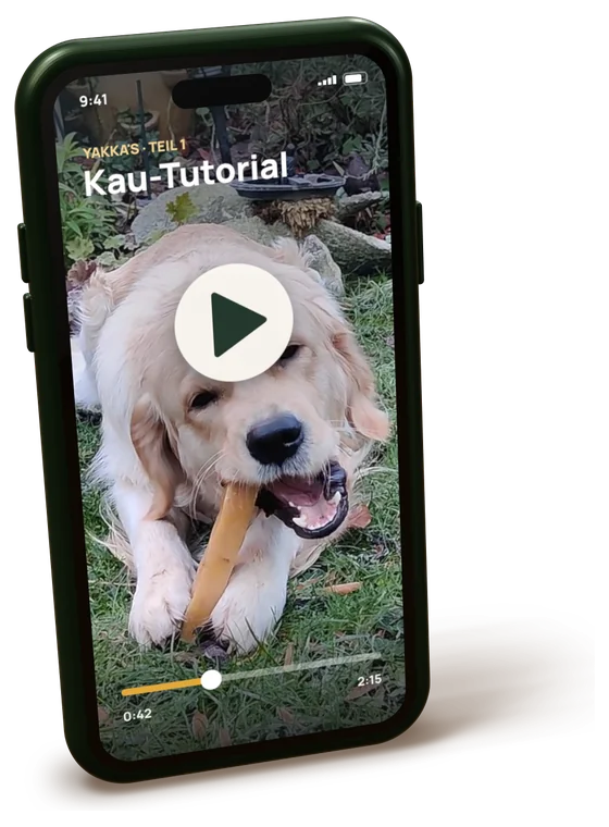 Smartphone mit einem Video-Tutorial